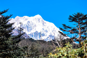 Yumthang Valley or Sikkim or Valley of Flowers