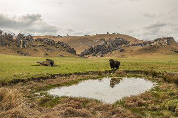 Obraz premium The Castle Hill Conservation Area or Kura Tawhiti, Arthur's pass, Limestone rock formations, Alps, South island, New Zealand