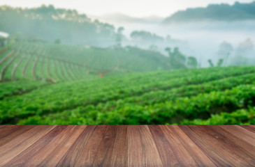 Wood platform beside tea plantation in morning view