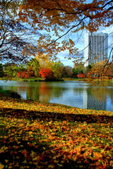北海道、札幌、中島公園の秋の風景