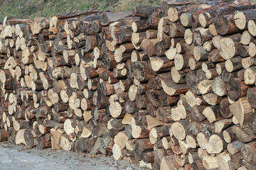 A large stack of dry firewood