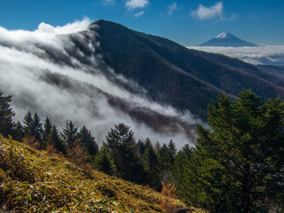 正丸峠から小金沢連嶺と富士山