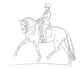 Equestrian sport, dressage. Vector illustration of a rider on a horse.