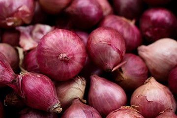 Harvested red onions in container