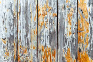 Old grungy and weathered white grey and yellow painted wooden wall plank texture background weathered by long exposure to the elements outdoors and with paint peeling off.