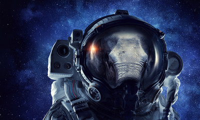 First trip to space. Mixed media