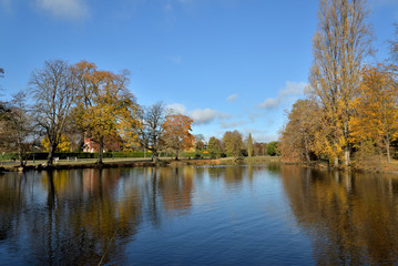 Obraz premium autumn landscape with river and trees