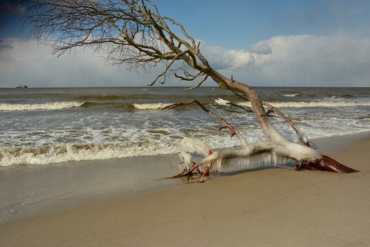 Vereister Windfl&uuml;chter am Westrand 