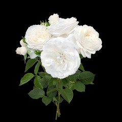 White rose flowers arrangement isolated on black