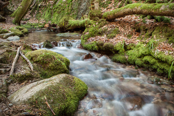 Wasserfall im Schwarzwald