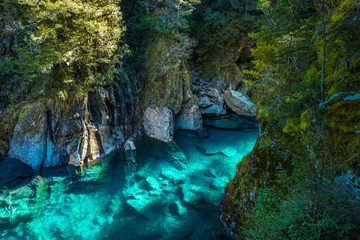 Foto op Plexiglas Famous attraction - Blue Pools, Haast Pass,  New Zealand, South Island © Martin Valigursky
