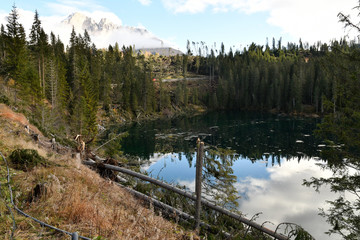 Lake Carezza, Bolzano province, South tyrol, Italy Broken trees after a storm