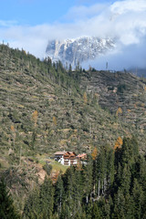 Lake Carezza, Bolzano province, South tyrol, Italy. Fallen trees - trees uprooted by a storm