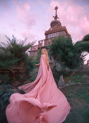 witch elf rises to the castle, princess with blond hair, oblique and tiara dresses pink dress and...
