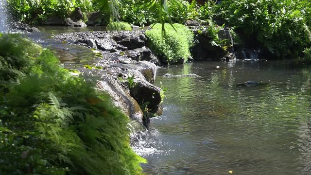 Water flowing in brook in slow motion 180fps