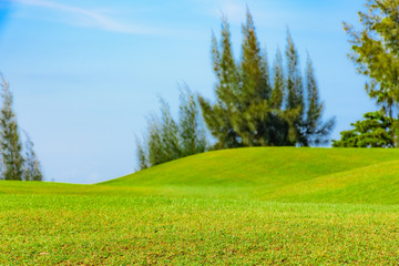 green golf course