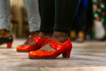 Flamenco Shoes