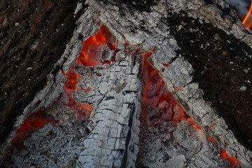 Glowing wood fire 4840