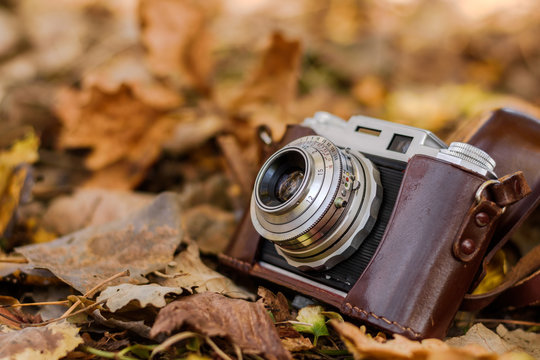 Vintage camera on dry autumn leaves