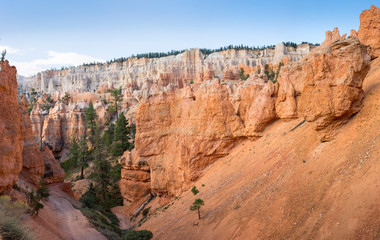 landscape on the bryce canyon in the united states of america