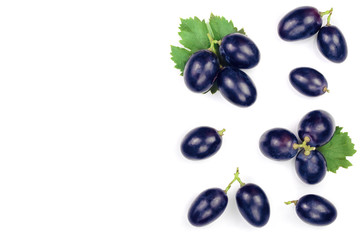 bue grapes wih leaves isolated on the white background with copy space for your text. Top view. Flat lay pattern