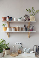 Fototapeta na wymiar Pots with various houseplants and assorted dishware standing on shelf and cupboard in cozy kitchen