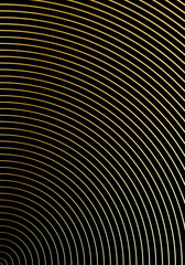 Minimal cover design template. Modern brochure lay