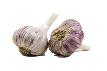 Two heads of pink garlic with dry roots on isolated white background