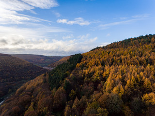 Aerial View of a Forest in Wales at Autumn