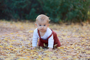 Petit Bebe Garcon Blond En Pleine Nature Avec Sa Sucette Dans La Main Wall Mural Irena Begusic Petit Bebe Garcon Blond En Pleine Nature Avec Sa Sucette Dans La Main Wall Mural Irena Begusic