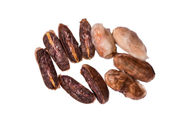 Fresh cocoa beans or cacao with half sliced and four whole beans on white background