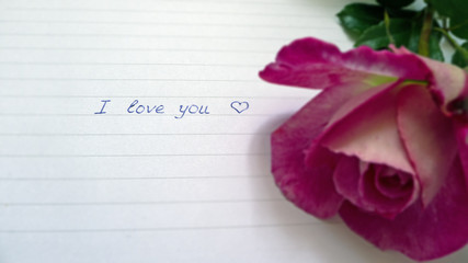 blue inscription by hand i love you on a piece of paper with stripes and pink three roses beside
