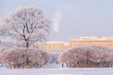 Russian Winter. Mars Field in St. Petersburg on a sunny, frosty day. Frost on the trees.	