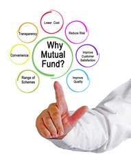 Why Mutual Fund