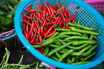 Red and green chili pepper 