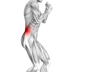 Obraz premium Conceptual back human anatomy with red hot spot inflammation articular joint pain or spine health care therapy or sport muscle concepts. 3D illustration man arthritis or bone sore osteoporosis disease