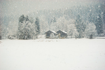Panorama on two houses and trees in a heavy snowfall day