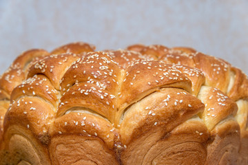 Close-up of sesame bread - selective focus