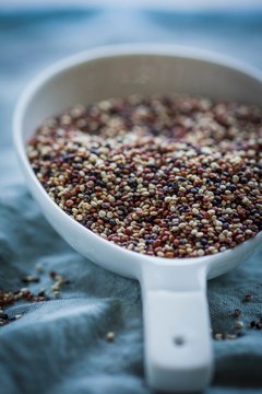 Quinoa tricolore