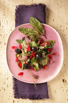 An autumnal salad with blood dock, orache, wood sorrel and blackberries