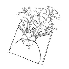 Vector bouquet with outline Flax plant or Linum in open craft envelope. Flower bunch, bud and leaf in black isolated on white background. Ornate contour Flax for summer design and coloring book. 