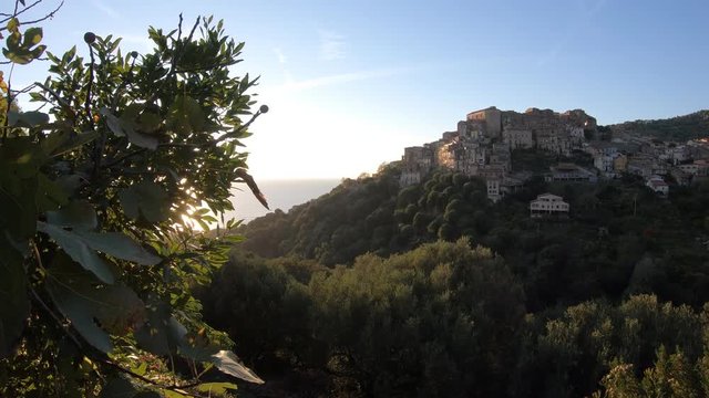 Pisciotta Bilder Durchsuchen 181 Archivfotos, und