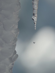 氷,こおり,冬,凍結,滴,雫,しずく,水,氷柱,つらら