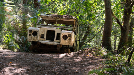 Abandoned car in the forest