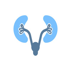 Urology / Kidneys Icon