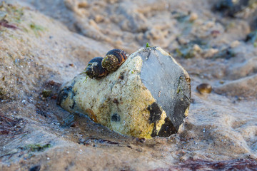baltic sea germany coast autumn travel relax tranquil