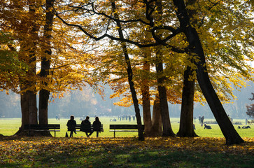 Englischer Garten in München - entspanntes Sitzen auf der PArkbank von drei Leuten im Herbstlicht