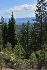 Wood River in Jackson Kimball State Park Oregon