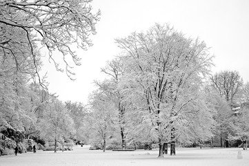 winter in the park