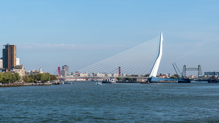 Naklejka premium View on Erasmus bridge in Rottedam